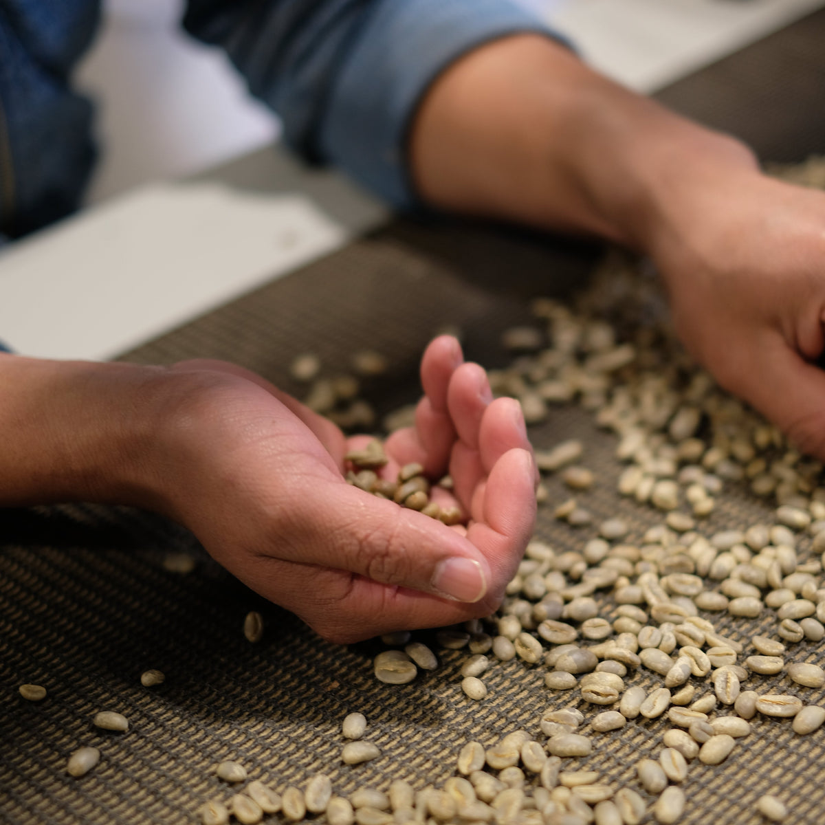 ELIDA GESHA NATURAL specialty coffee beans being sorted by hand on a textured mat.