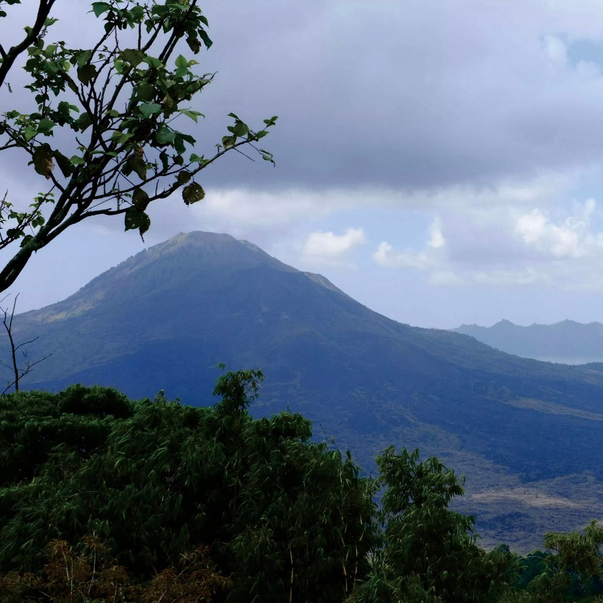Volcanic mountain landscape overlooking a coffee-growing region in Indonesia.