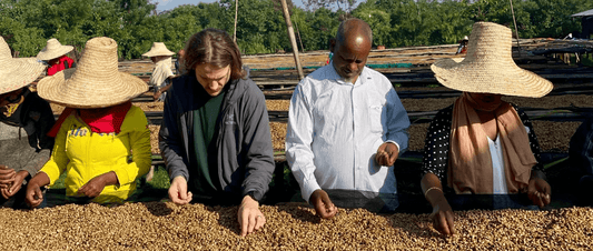 Origin Update Ethiopia: Visiting our Farm Partners - THE BARN Coffee Roasters Berlin