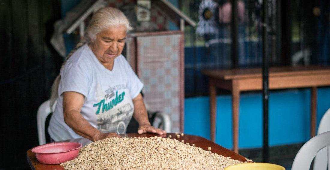 Amaca - 100% Hand-made Coffee From Women - THE BARN Coffee Roasters Berlin