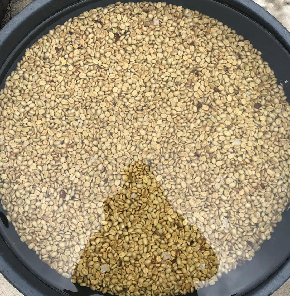 Water Treatment Sustainability Project 2/2 in Brazil - THE BARN Coffee Roasters Berlin