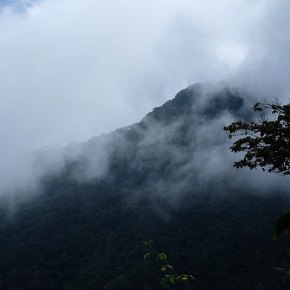 Cloudy mountain landscape shrouded in mist, capturing the essence of lush coffee-growing regions.