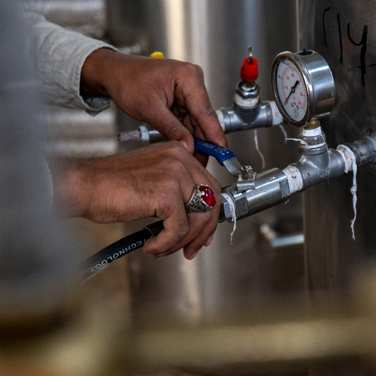 YEMEN ALCHEMY
