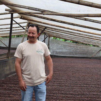 Man standing in a coffee drying shed with coffee beans on the ground