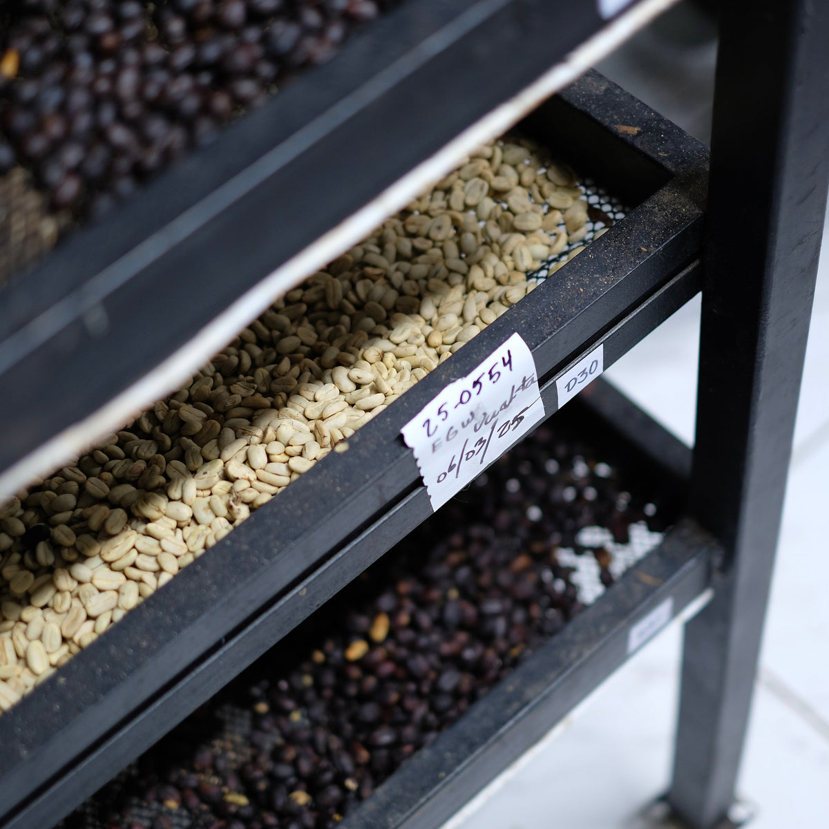 ELIDA GESHA NATURAL specialty coffee beans displayed on a rack, showcasing their unique colors and textures.