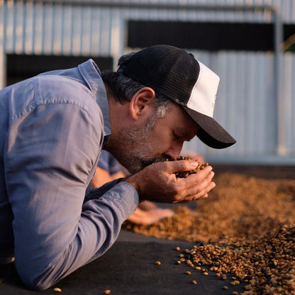 A coffee expert evaluating the GESHA COLLECTION coffee beans, appreciating their quality and aroma.