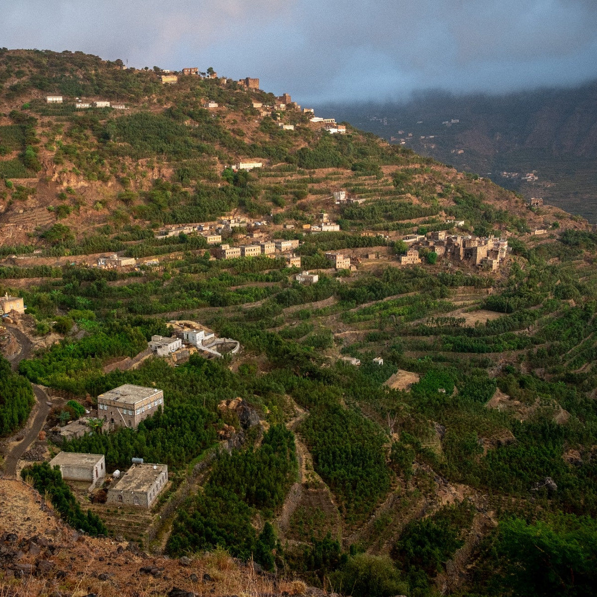 YEMEN ALCHEMY
