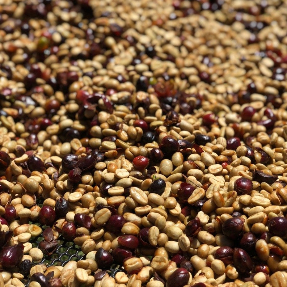 Close-up of a mixture of brown and red coffee seeds on a textured surface