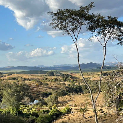 Scenic view of a landscape with trees and open fields under a blue sky with clouds.