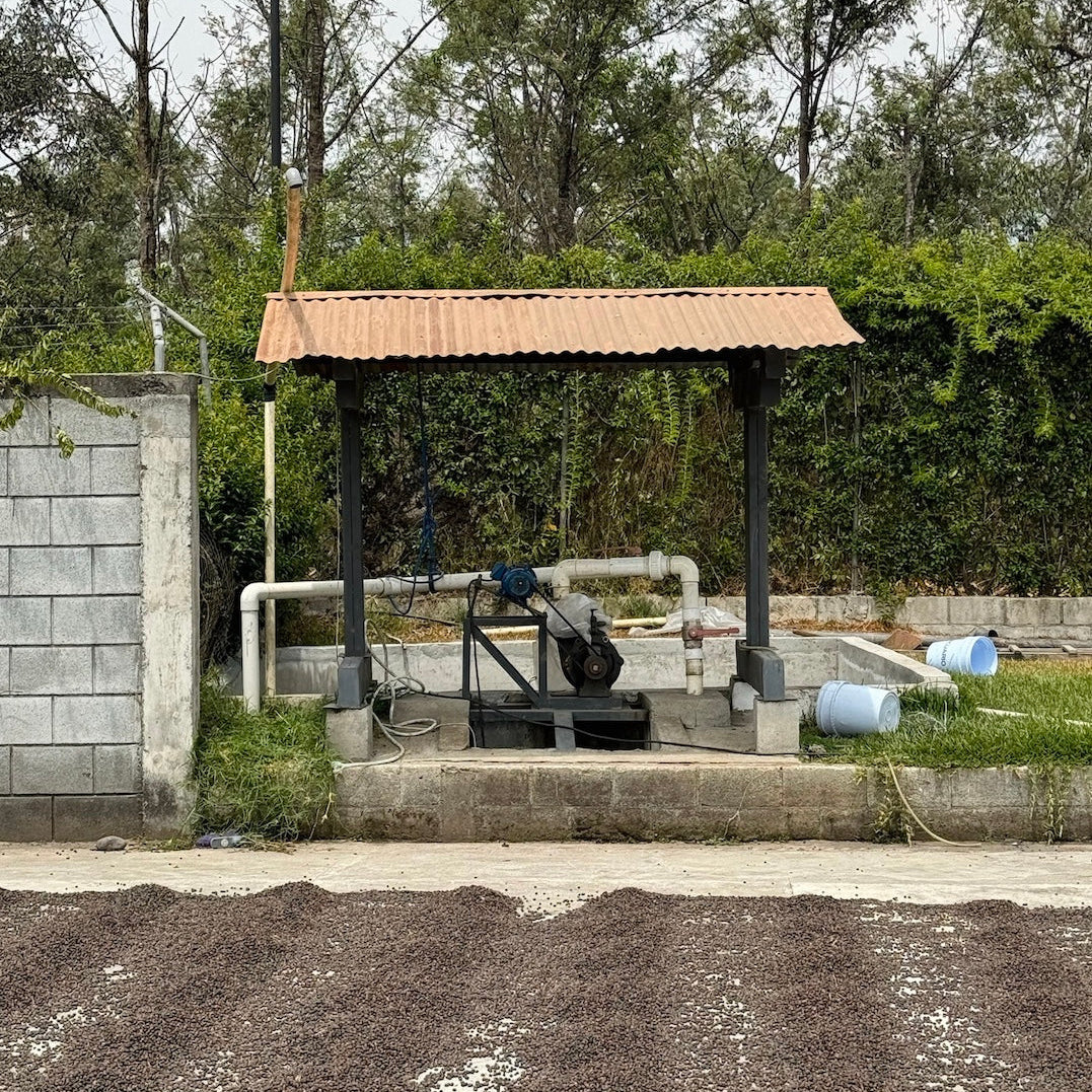 ATLAS COFFEE processing equipment at Finca Santa Clara in Guatemala Coffee Beans cultivation.