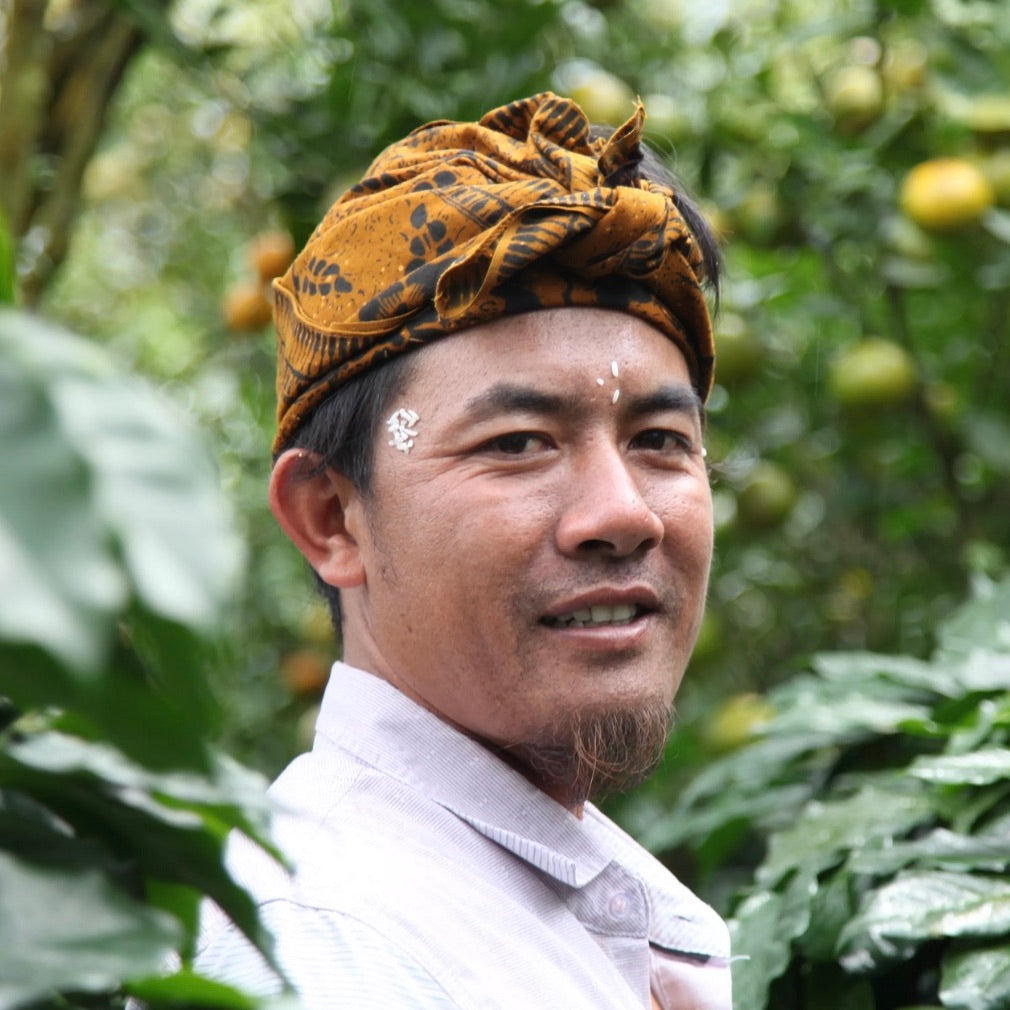 Coffee producer standing among coffee plants at a specialty coffee farm in Indonesia.