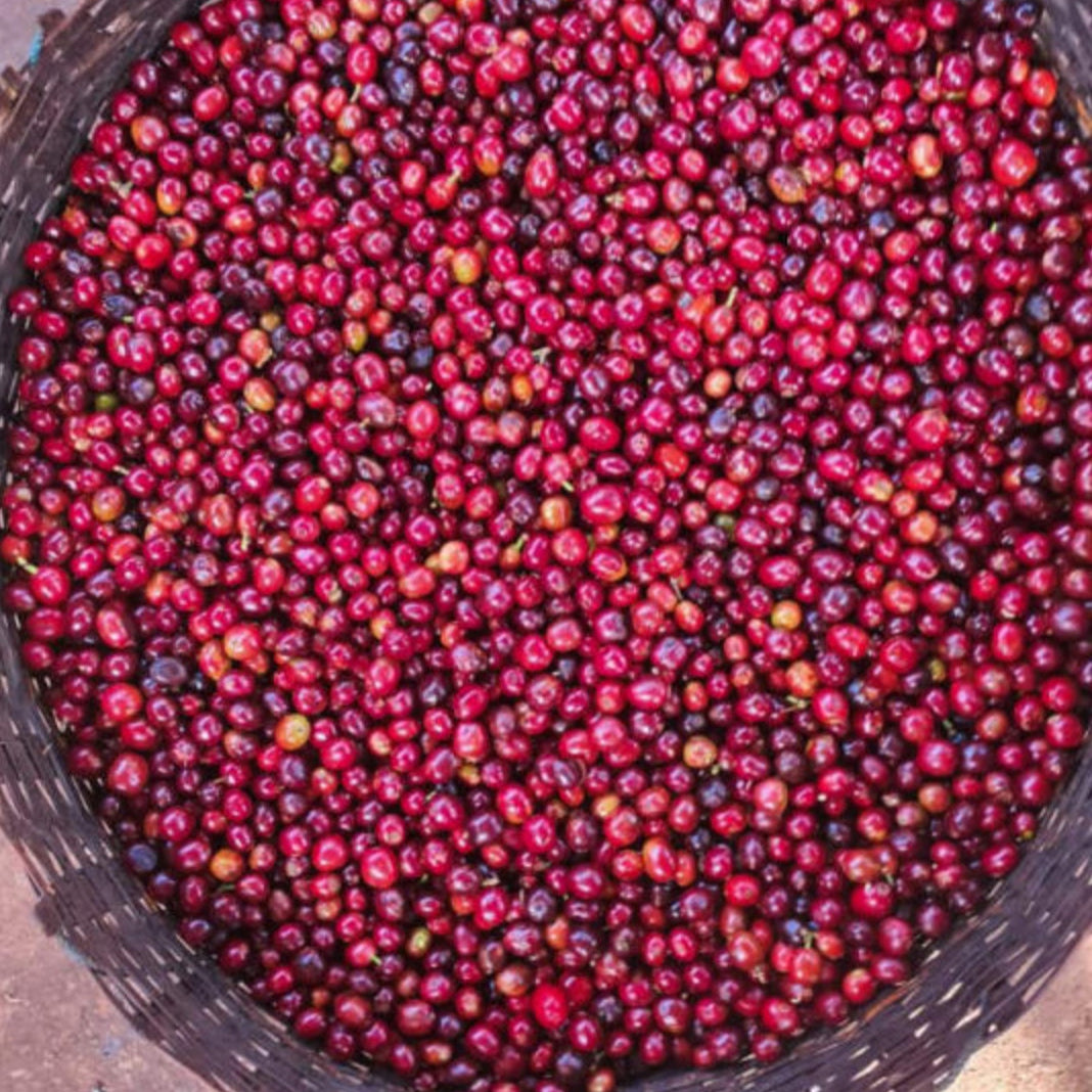 Basket filled with red berries on a textured surface