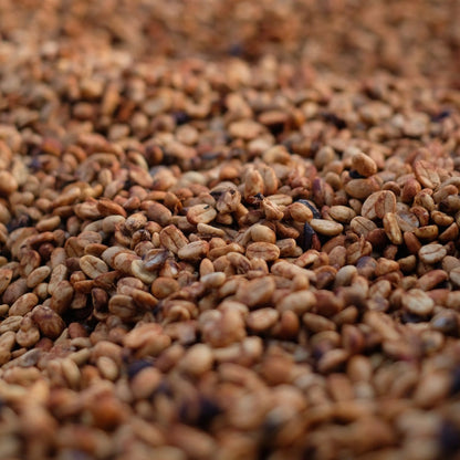 VOLCAN AZUL GESHA HONEY coffee beans shown in a close-up, highlighting their unique red honey processing.