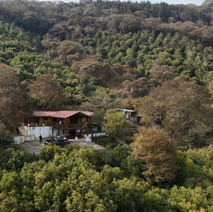 ATLAS COFFEE farm in Guatemala, showcasing lush landscape and coffee cultivation, highlighting Guatemala Coffee Beans.