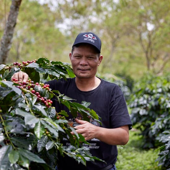 ASMAN GAYO