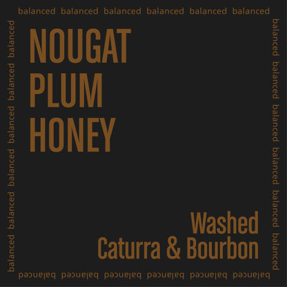 Atlas Coffee featuring nougat, plum, and honey notes with balanced flavor profile from Caturra & Bourbon beans.