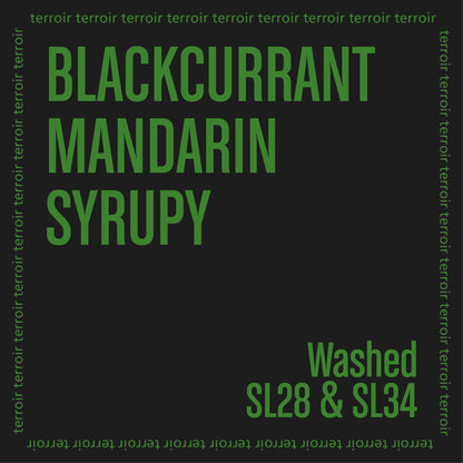 Tastes Notes on a black background listing "Blackcurrant. Mandarin. Syrupy"
