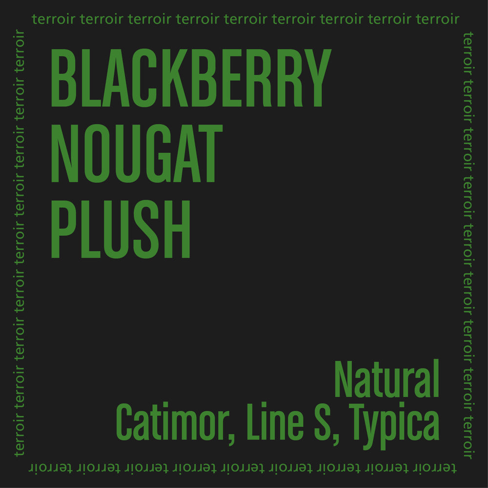 Taste notes on a black background with 'Blackberry Nougat Plush' and 'Catimor, Line S, Typica' in green.